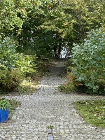 Grüner Fußweg durch das Küstenwäldchen zum Strand